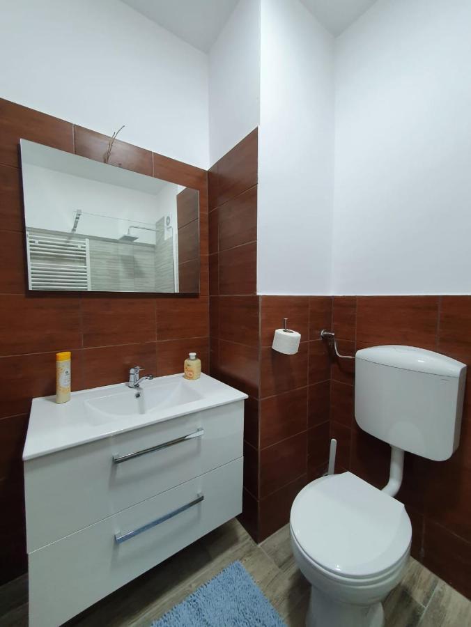 Petrosani Camere De Inchiriat - Hotel Petroshani Srl Eksteriør bilde