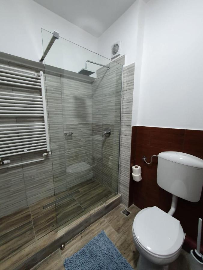 Petrosani Camere De Inchiriat - Hotel Petroshani Srl Eksteriør bilde